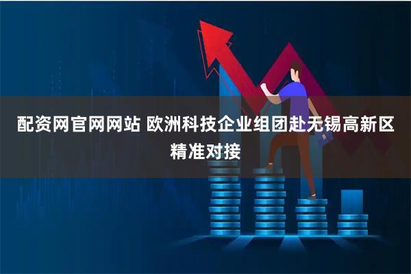 配资网官网网站 欧洲科技企业组团赴无锡高新区精准对接