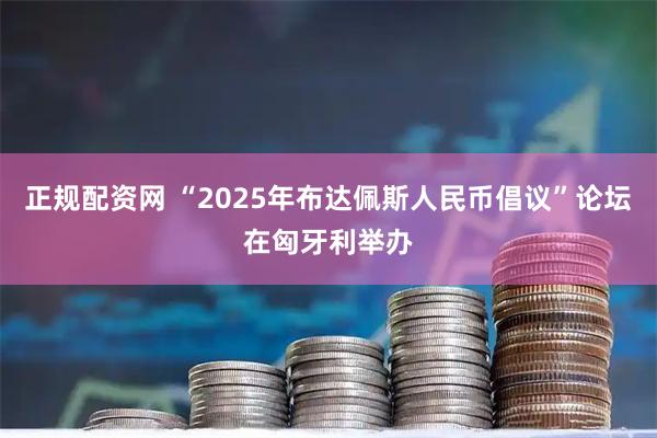 正规配资网 “2025年布达佩斯人民币倡议”论坛在匈牙利举办