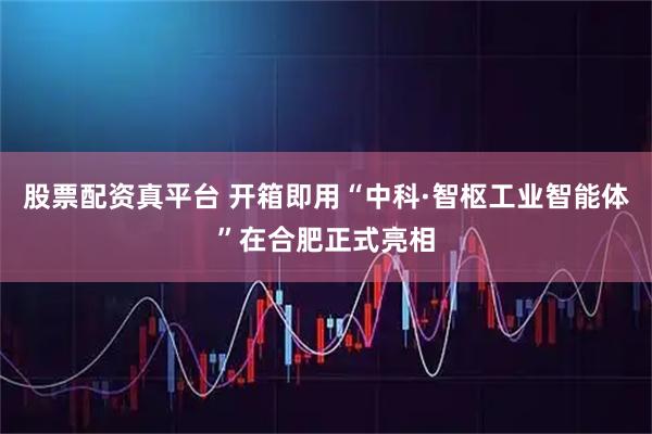 股票配资真平台 开箱即用“中科·智枢工业智能体”在合肥正式亮相