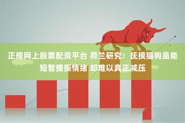 正规网上股票配资平台 荷兰研究：抚摸猫狗虽能短暂提振情绪 却难以真正减压