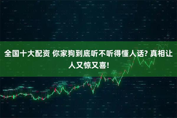 全国十大配资 你家狗到底听不听得懂人话? 真相让人又惊又喜!
